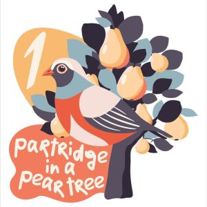 Microderm with Dermaplane - Day 1- 12 Days of Christmas