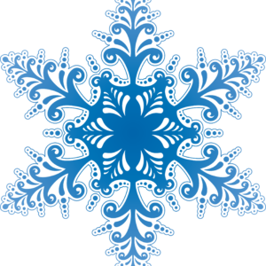 IPL - $199 - January Specials