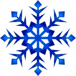 Laser Hair - Full Back - 6 Sessions - $626 - January Special